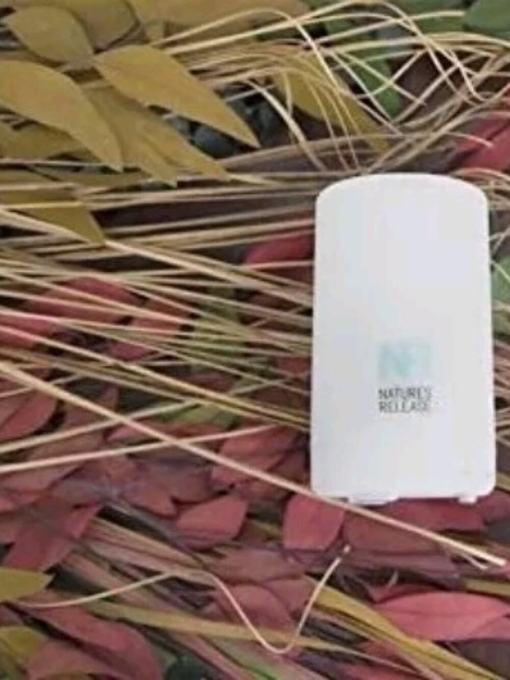 Aromatherapy Essential Oil Diffuser Cool Mist Humidifier Color Changing Auto-Off - Picture 4 of 11